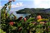 6jours à 'Residenz Le Panoramic', Anse A L'ane,Martinique,Martinique